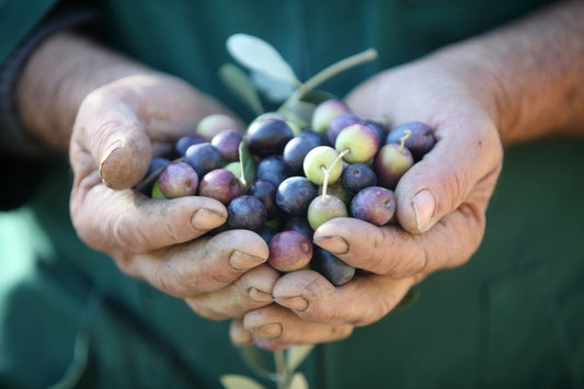 Putting the Mediterranean Diet to the Test