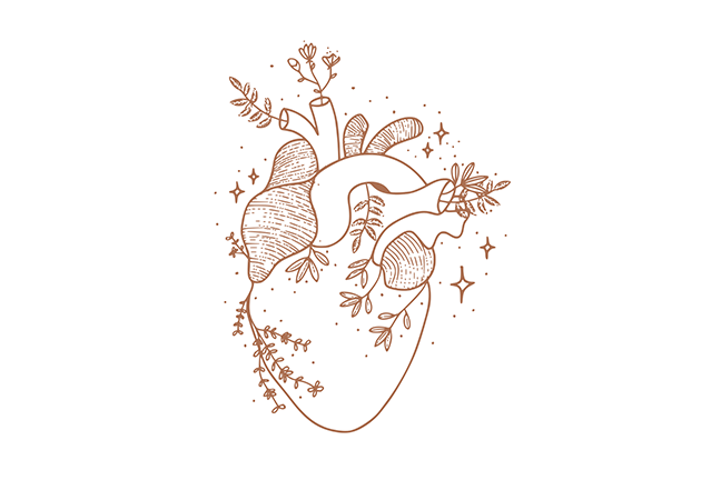 The governor olive oil good for your heart